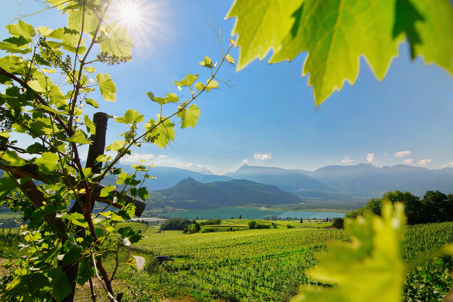Blick zum Kalterer See